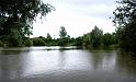 Manor Farm Coarse Fishing Anglers of the Future (77)